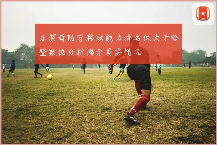 东契奇防守移动能力排名仅次于哈登数据分析揭示真实情况